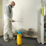 Mold Removal