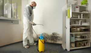 Mold Removal