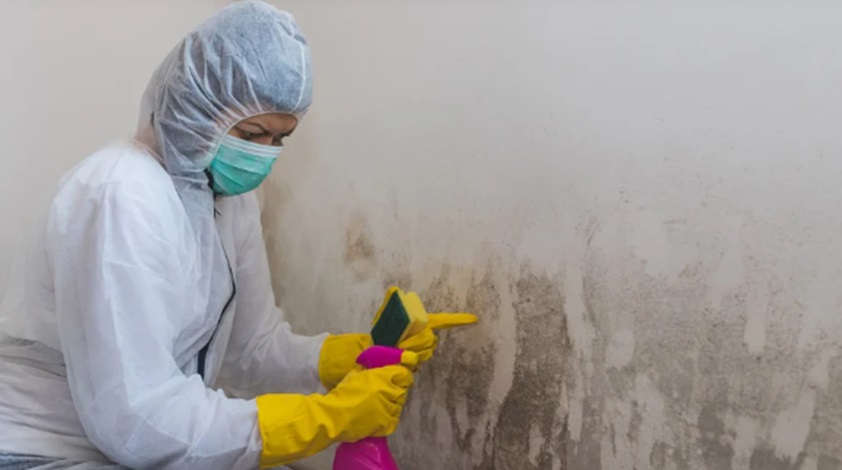 Mold Prevention